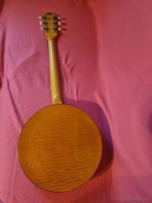 Banjo Framus Neschville - 3