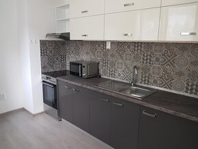 Ponúkam na predaj veľký priestranný jednoizbový byt(44 m2), - 3