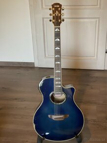 Elektro-akustická gitara Yamaha APX 900 s príslušenstvom - 3