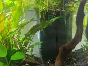 Akvarium 10 litrove - 3