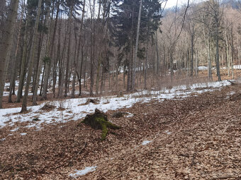 Exkluzívne na predaj slnečné pozemky Horovce okres Púchov - 3