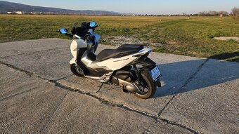 Honda FORZA 300 (rv 2020) - 3