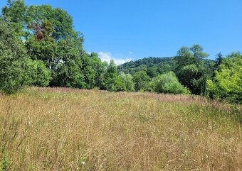 Veľký pozemok 1261 m2 - Dohňany - 3