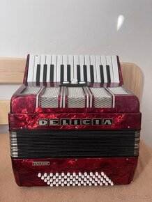 Harmonika- Delicia - 3