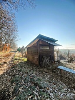 Rekreačný pozemok pod lesom s viničným sadom Levice - Čankov - 3