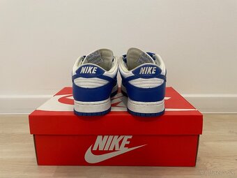 Nike Dunk Low Kentucky 43 - 3