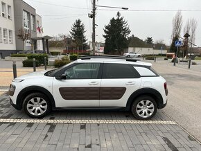 C4 Cactus - 3