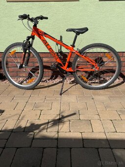 Bicykel  Junior Alpina ECO 10M - 3