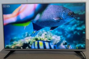 Smart tv LG 43LH570V-(108cm) - 3