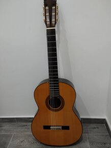 Gitara - 3