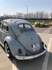 Volkswagen CHROBAK OVAL 1954 - 3