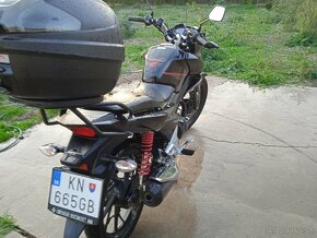 Honda cbf125 - 3