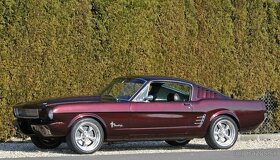 1966 FORD MUSTANG FASTBACK V8 AUTOMATIC SHOW CAR - 3