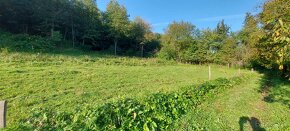 Veľký slnečný pozemok medzi Prešovom a Sabinovom, 3295m2 - 3