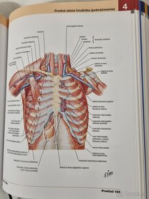 Netterov anatomický atlas človeka (Frank H. Netter) - 3