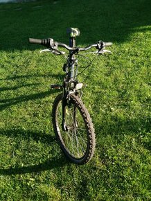 Bicykel CTM berry 2.0 - 3