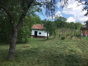 Pozemok s vinicou - 3