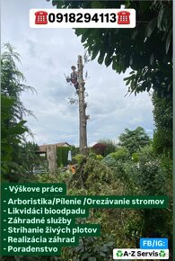 Arboristika /Rizikové pílenie stromov /Výrub stromov - 3