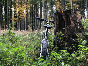 FATBIKE = Bicykel PRE FAJNŠMEKRA - 3