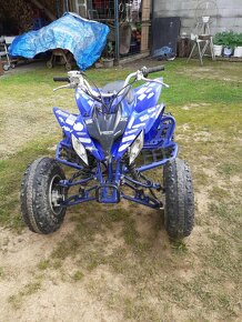 Yamaha Raptor 250 - 3