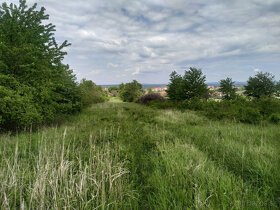 Pozemok nad mestom Skalica, 3000m2 - 3