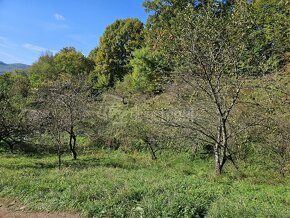 Predaj - rekreácia - Pozemok v blízkosti lesa… - 3