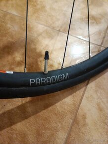 Bontrager Paradigm - 3