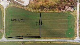 Pozemok, 14976 m2, v dosahu D1 a žel. uzla v Leopoldove - 3