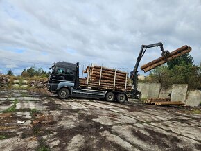 Palivový buk - breza na predaj - 3