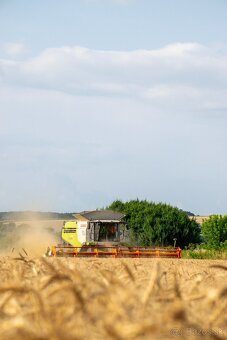 Claas Lexion 770TT 2014 - 3