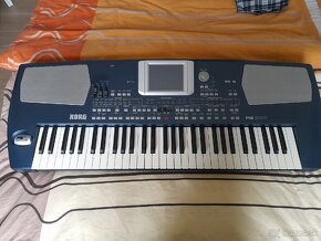 Korg pa 500 - 3