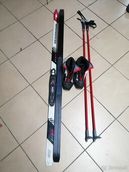 Predam bezky 140cm - 3