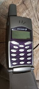 Sony Ericsson T 29s - 3