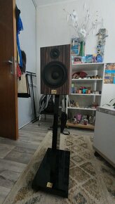 2A Acoustic gf6 - 3