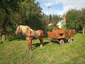 Koč/voz za koňa - 3