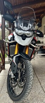 Triumph Tiger 900 Rallye Pro 2024 - 3