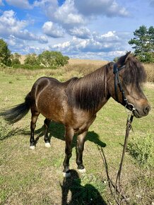 Krasna pony kobylka k detom - 3