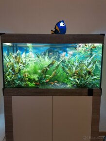 Predaj akvarium+ vsetko prislusenstvo - 3