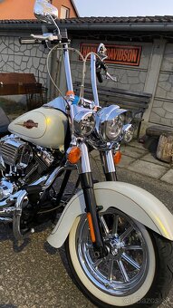 Harley Davidson Softail 110” - 3