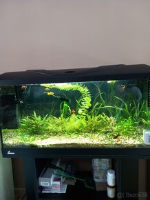 Predam akvarium - 3