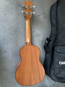 ukulele Cascha - 3