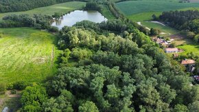 Lesný pozemok s výmerou 9006 m2, Čechy - 3