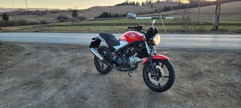 Honda VTR 250, malý Monster - 3