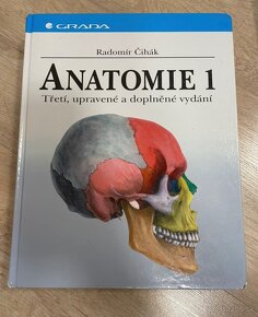 Anatómia Mráz, čihák, histologia - 3