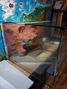 Terarium/Paludarium pre plazy a obojživelníky - 3