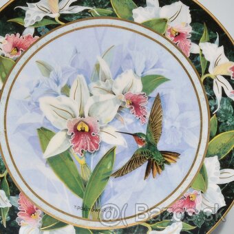 Royal Doulton - porcelánové taniere - Kolibríky - 3