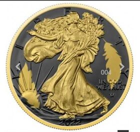 Silver Eagle - Golden Ring 2022 - 3