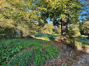 Pozemok na stavbu domu 1910m2 na polosamote,  Krajné Podvrch - 3