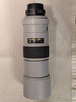 Nikon AF-S Nikkor 300mm f/4D IF-ED Silver - 3