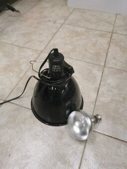 Lampy - 3